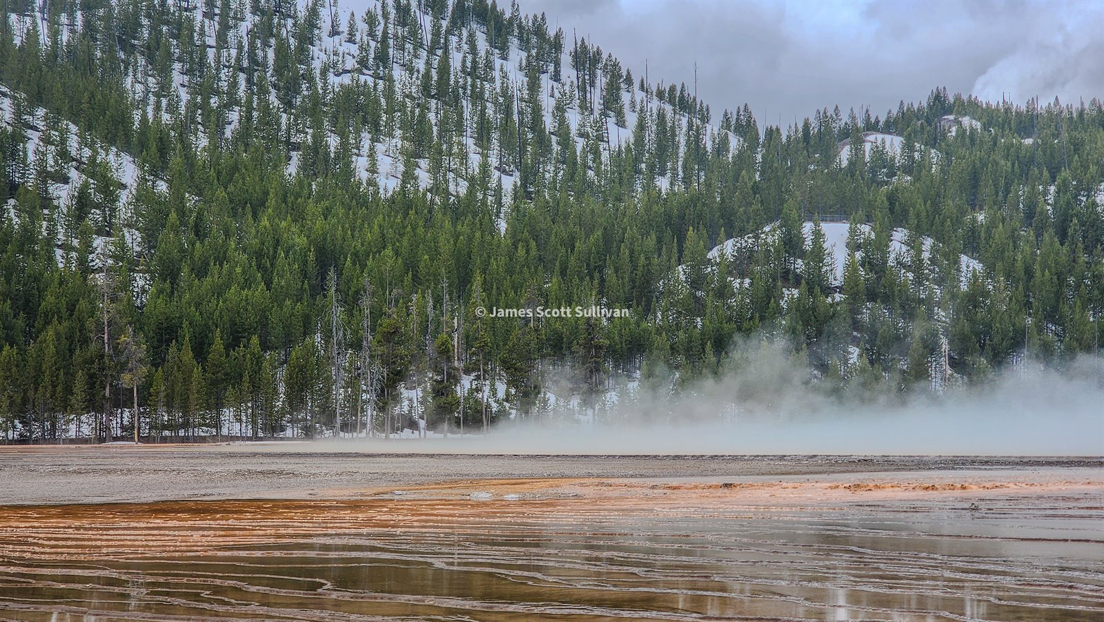 Steam rolling off a thermal basin in Yellowstone with snow still hanging in the trees.