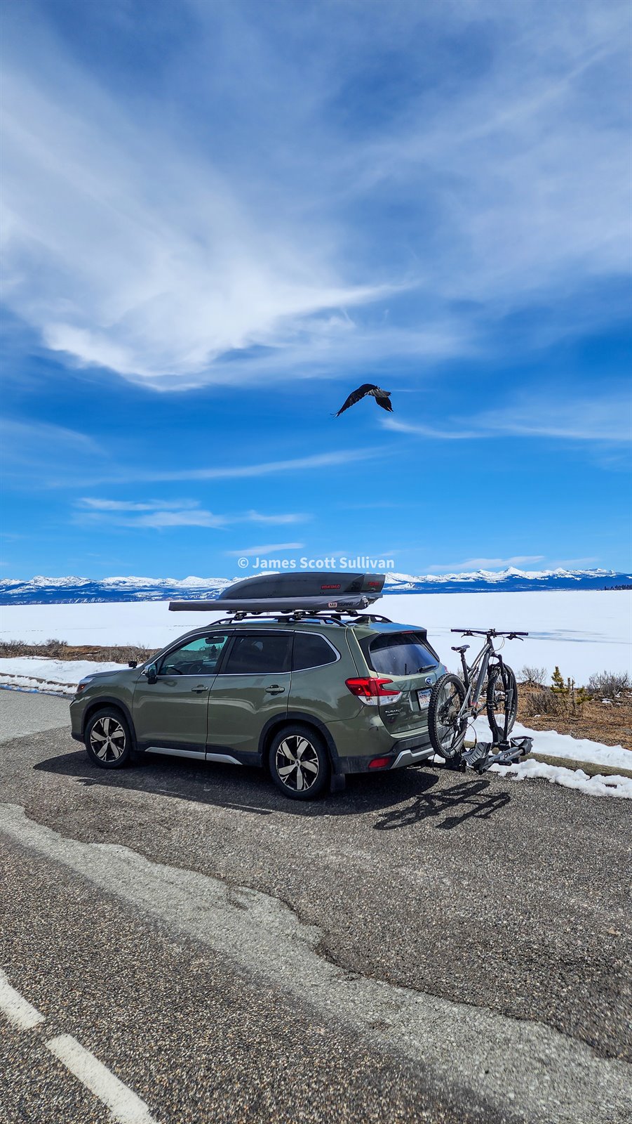 Golden grasslands and rolling hills in the Bighorn region.